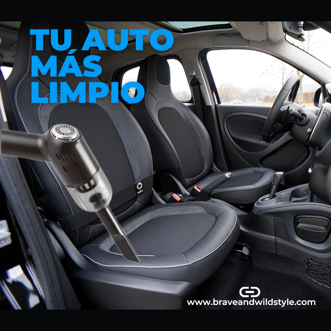 Aspiradora Manual
