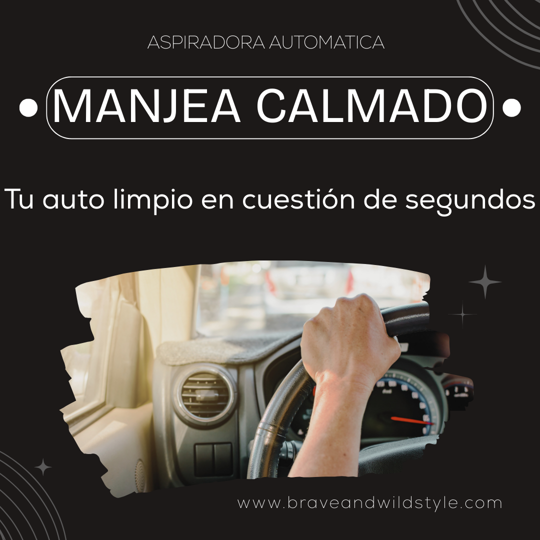 Aspiradora Manual